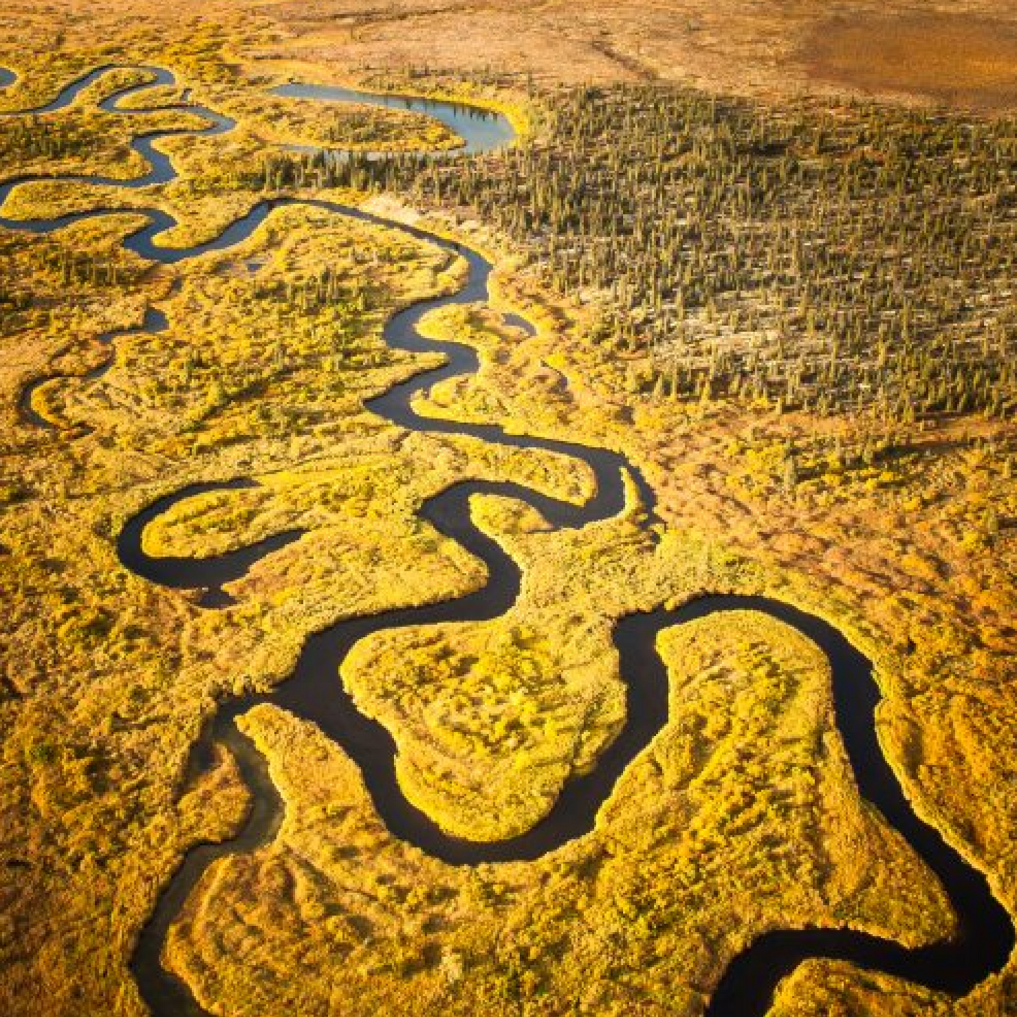Rivers in Bristol Bay